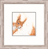 Aaminah Snowdon Ginger nut squirrel framed new artwork