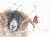 Aaminah Snowdon Hey Ewe sheep art print