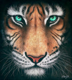 Colin Banks Eye of the Tiger art portrait