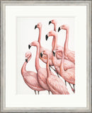 Dominique Salm art, flamingos signed limited edition print framed 