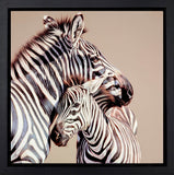 Darryn Eggleton Two of a Kind framed zebras