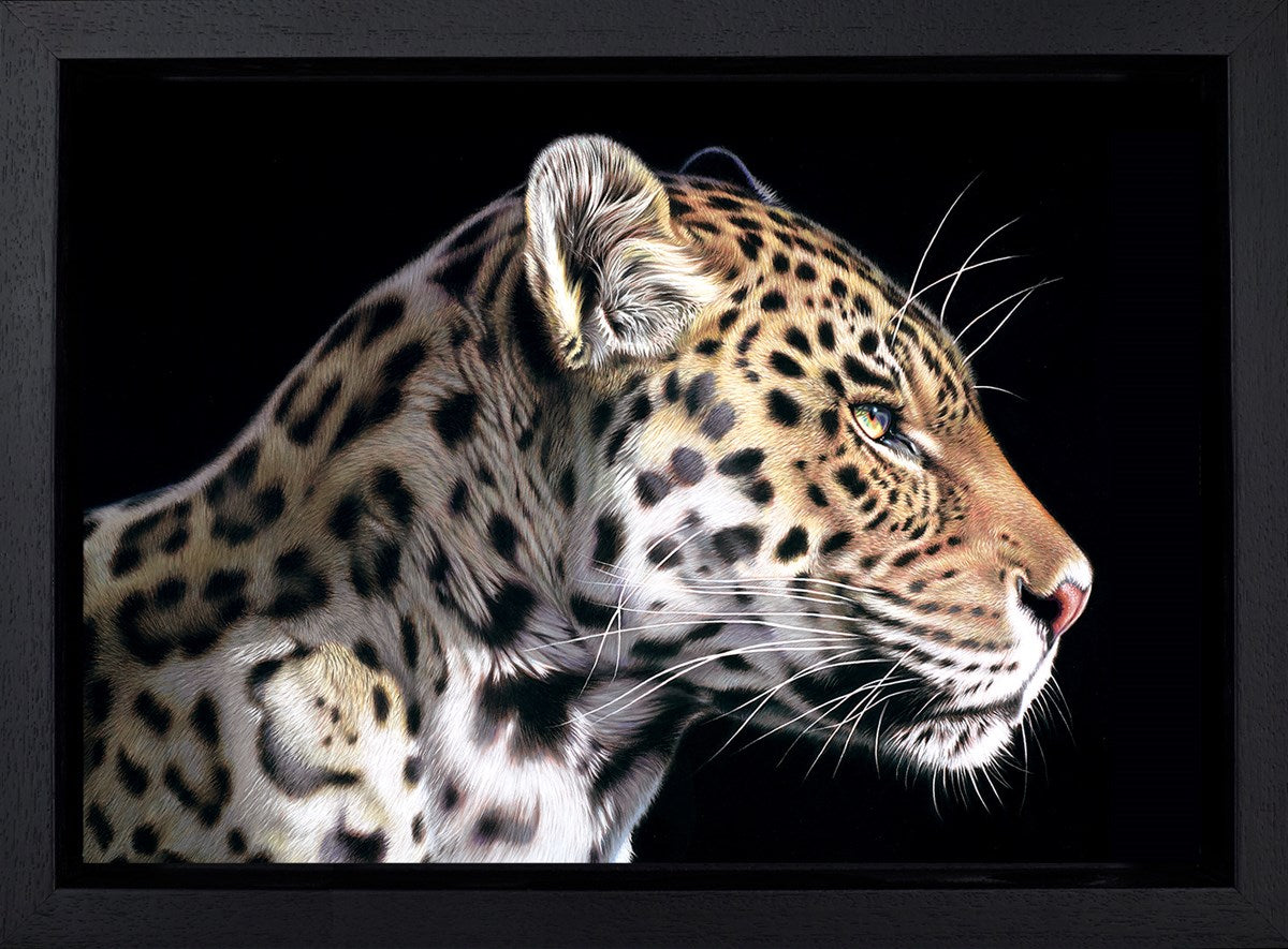 Darryn Eggleton The Wild Side I framed artwork 