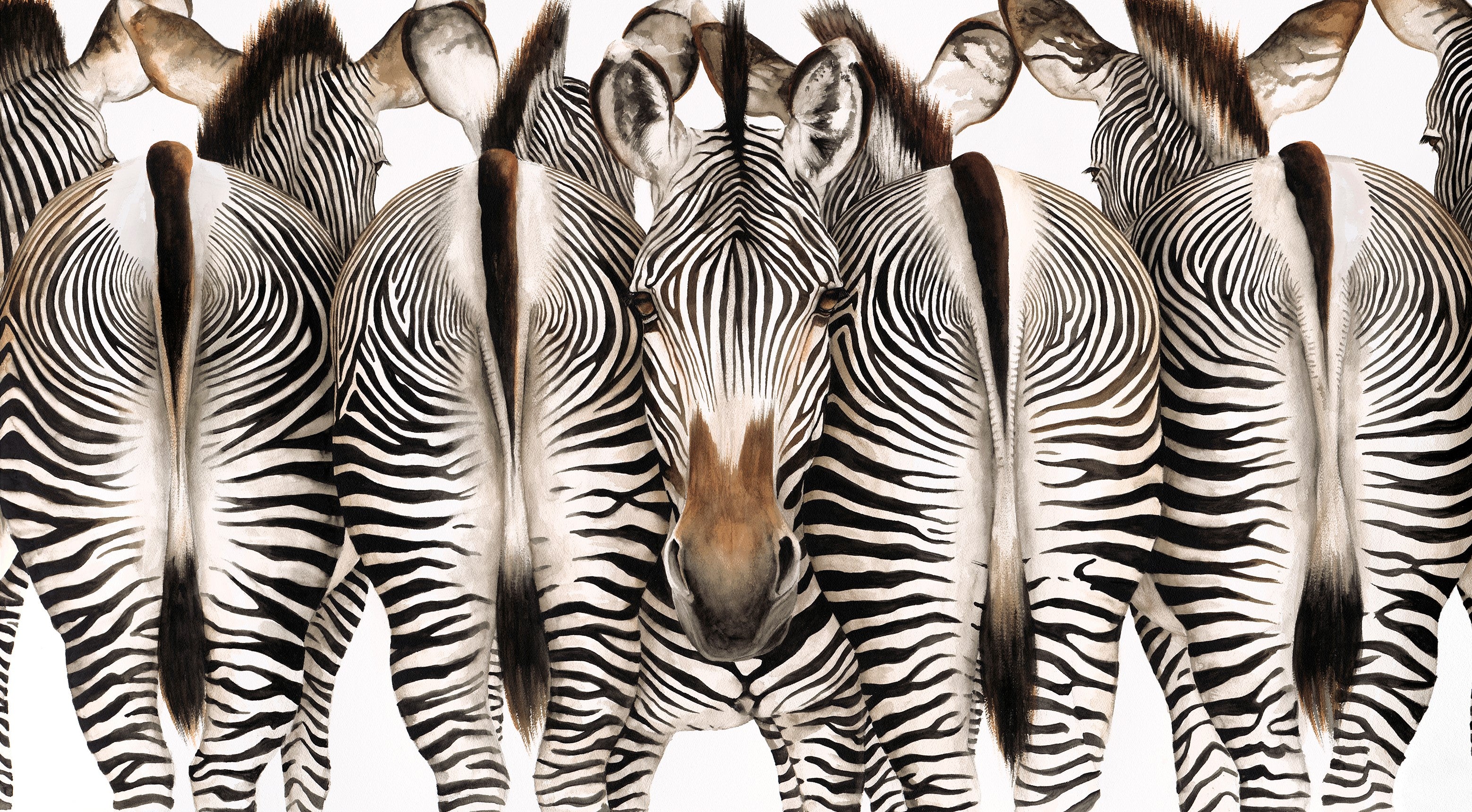 Dominique Salm Cheek To Cheek Zebras canvas