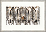 Dominque Salm Cheek To Cheek zebras framed