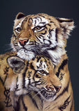 Hayley Goodhead tigers YSL logo artwork