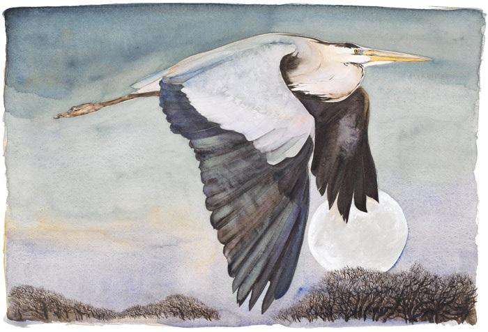Jackie Morris & Robert MacFarlane The Lost Words Heron in Flight Limited Edition Print