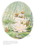 Beatrix Potter-Jeremy Fisher | Official Collector's Edition | Free UK Delivery 
