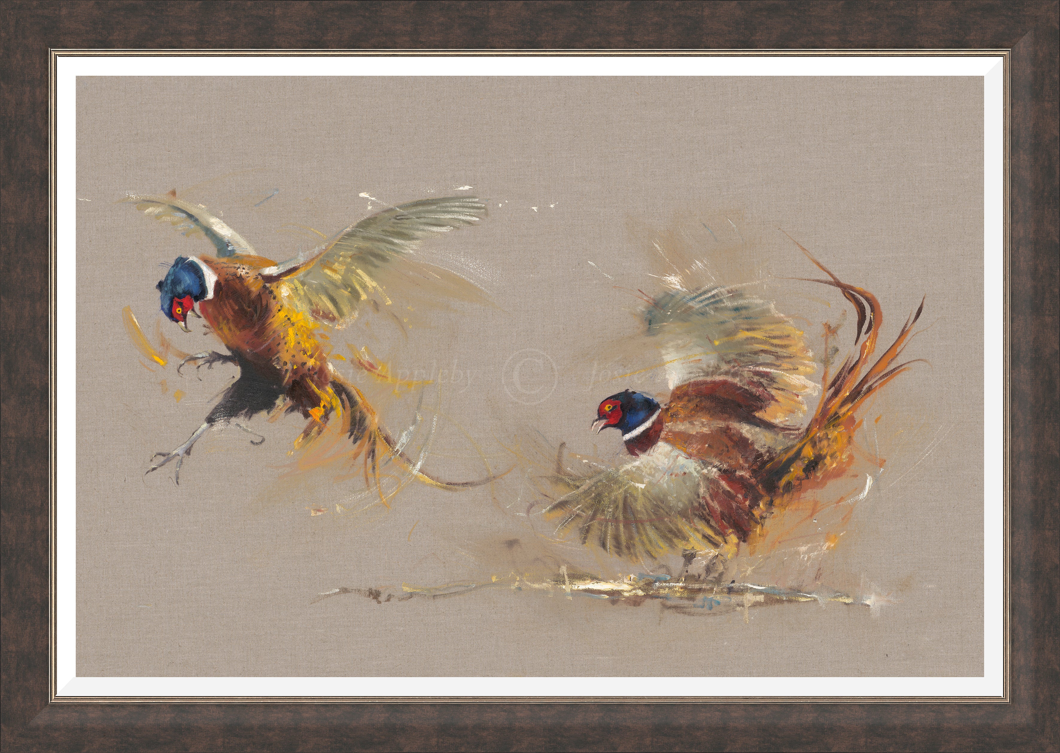 Josie Appleby limited edition pheasant animal art print on canvas framed
