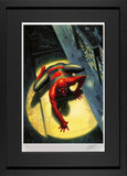 Marvel Alex Ross art spider man framed