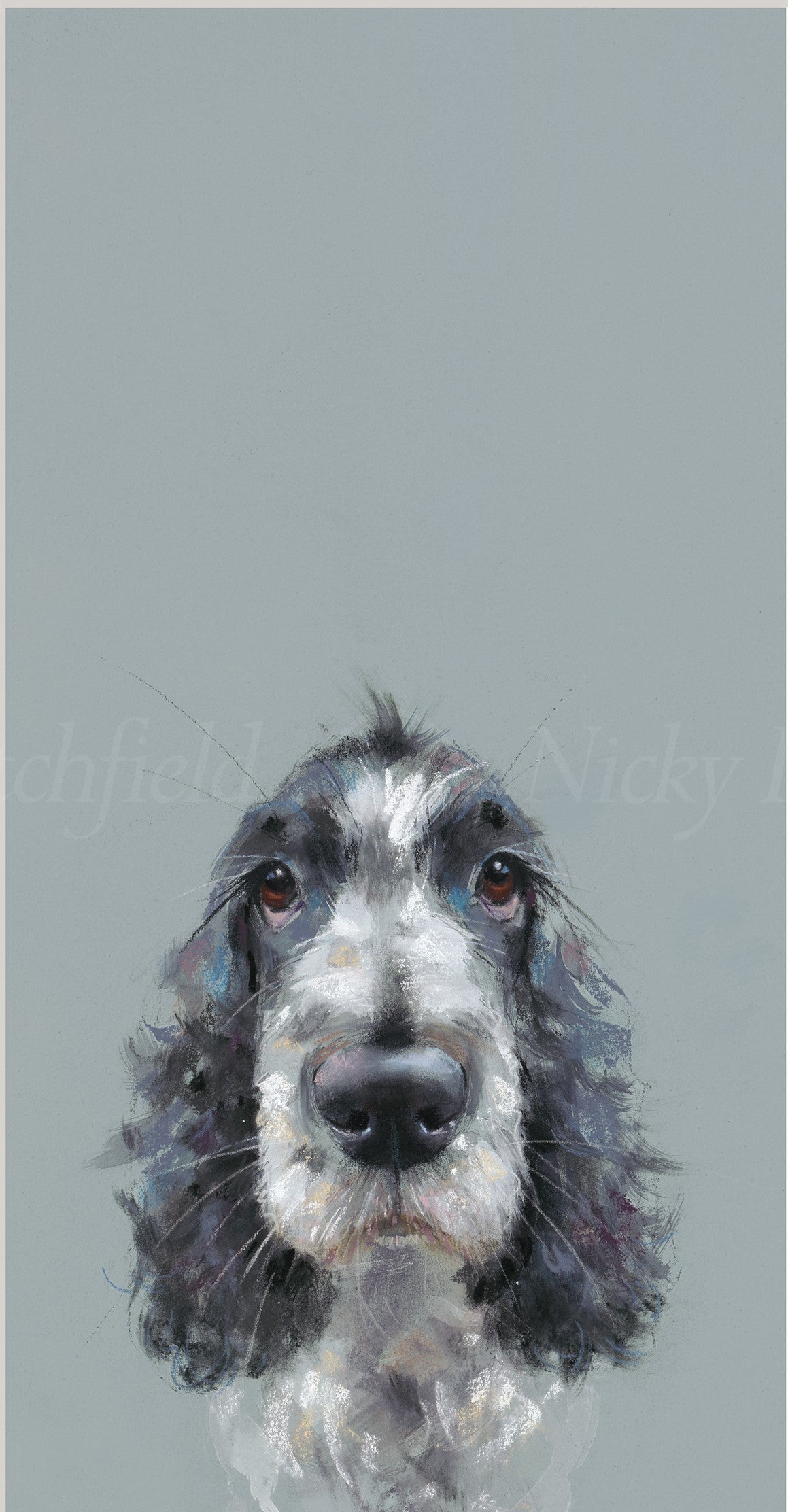 Nicky Litchfield Can I come too ? dog portrait