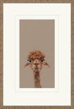 Nicky Litchfield Adele Lama framed art print