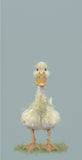 Nicky Litchfield Quackers duckling