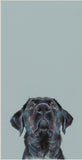 Nicky Litchfield Treat time black labrador artwork 