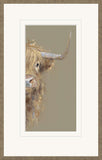 Nicky Litchfield Shy Guy framed highland cow artwork