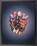 Nuala mulliagan lenticular artwork enlightenment butterflies skull