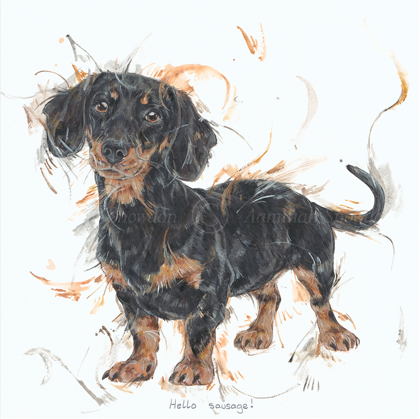 Paint your online own sausage dog