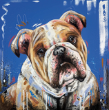 Sam Ellis Boxer Dog Canvas art print limited edition
