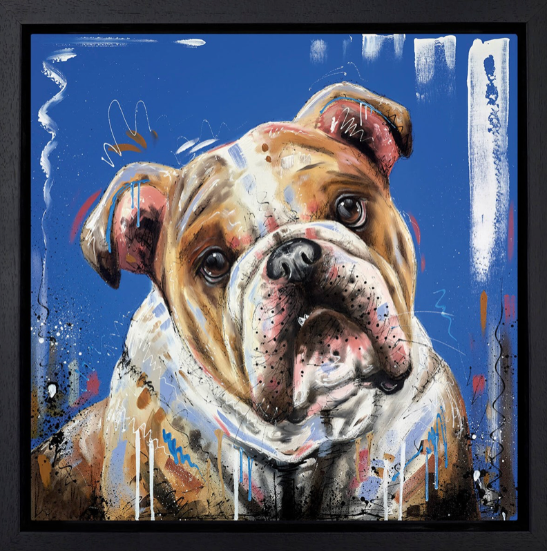 Sam Ellis Boxer Dog Canvas Art print framed