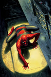 Alex Ross Marvel canvas spiderman