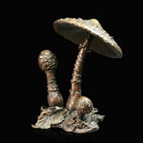 Parasol Mushroom (968)