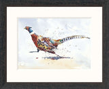 Jake Winkle The Road Runner framed